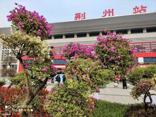 南通到荊州貨運公司_南通到荊州貨運專線